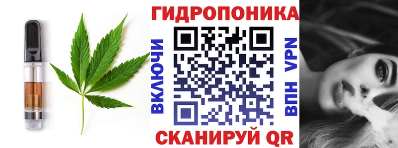купить закладку  Торопец  KRAKEN зеркало  Печенье с ТГК конопля 