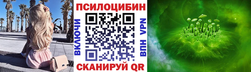 Псилоцибиновые грибы GOLDEN TEACHER  Торопец 